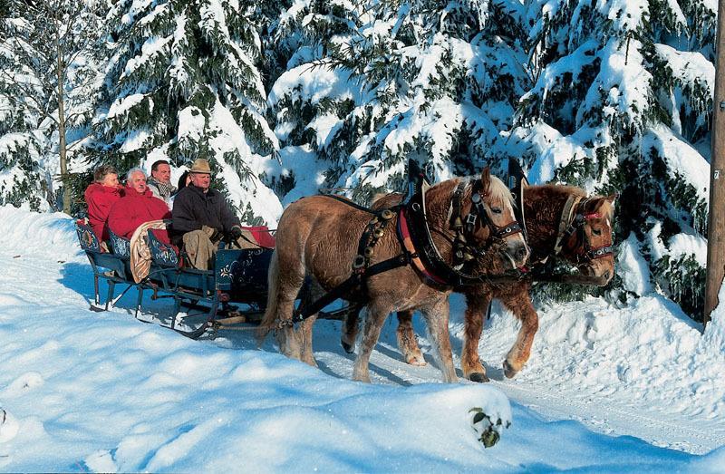 Gasthof Reiner Sankt Englmar Εξωτερικό φωτογραφία
